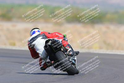 media/Oct-09-2022-SoCal Trackdays (Sun) [[95640aeeb6]]/Turn 14 Backside (1125am)/